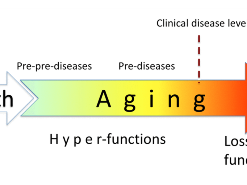 Figure 1. Relationship between aging and diseases. When growth is completed, growth-promoting pathways increase cellular and systemic functions and thus drive aging. This is a pre-pre-disease stage, slowly progressing to a pre-disease stage. Eventually, alterations reach clinical disease definition, associated with organ damage, loss of functions (functional decline), rapid deterioration and death.