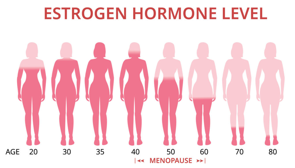 Estrogen hormone levels chart, menopause