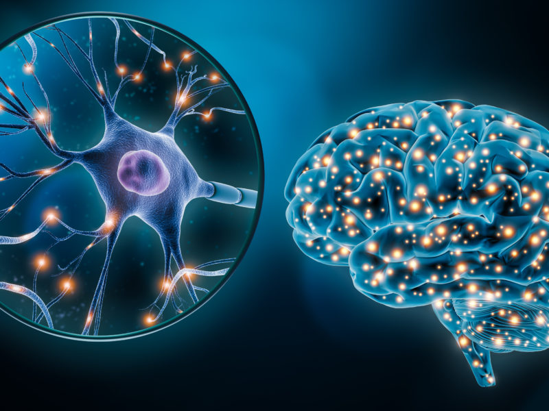 Neuromodulation in Alzheimer’s Disease Treatment