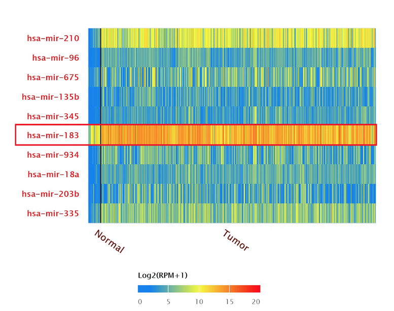 Transcriptional expressions of hsa-mir-183 predicted target genes as independent indicators for prognosis in bladder urothelial carcinoma