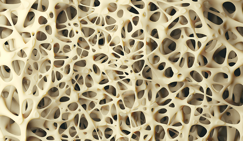 Osteoporosis Linked to Age-Related Changes in Circadian Rhythm
