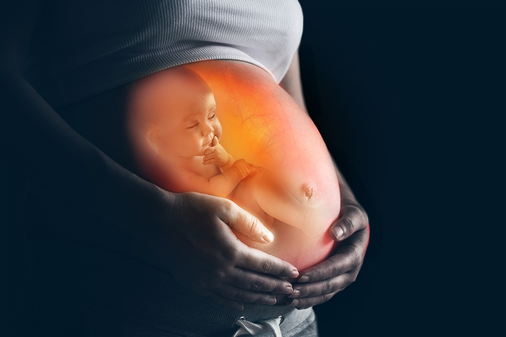 Unborn Children Exposed to Common Chemical Leads to Fertility Defects