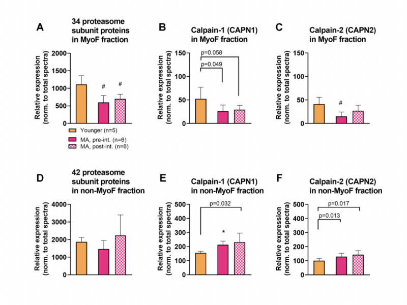 A novel deep proteomic approach in human skeletal muscle unveils distinct molecular signatures affected by aging and resistance training