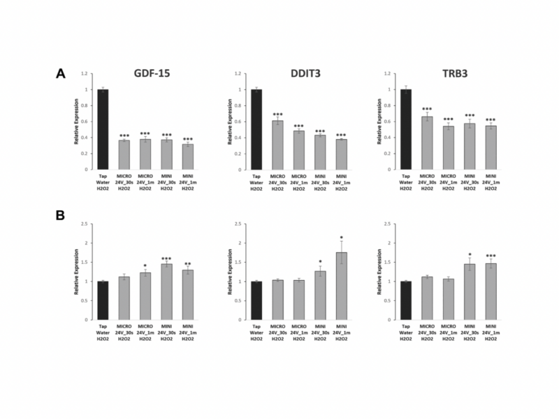 Cell type-dependent modulation of senescence features using Weo electrolyzed water