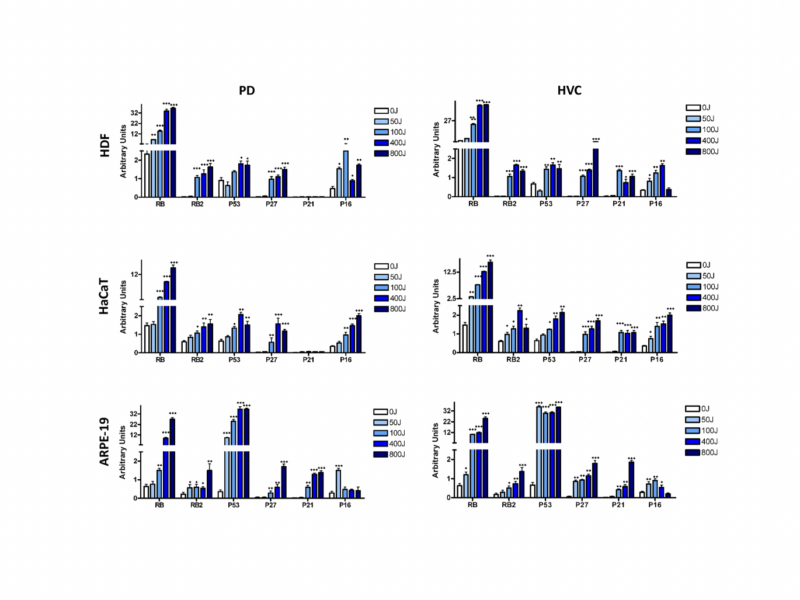 Germicidal lamps using UV-C radiation may pose health safety issues: a biomolecular analysis of their effects on apoptosis and senescence