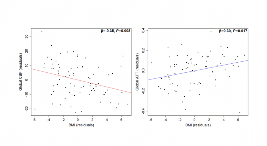 Determinants of cerebral blood flow and arterial transit time in healthy older adults