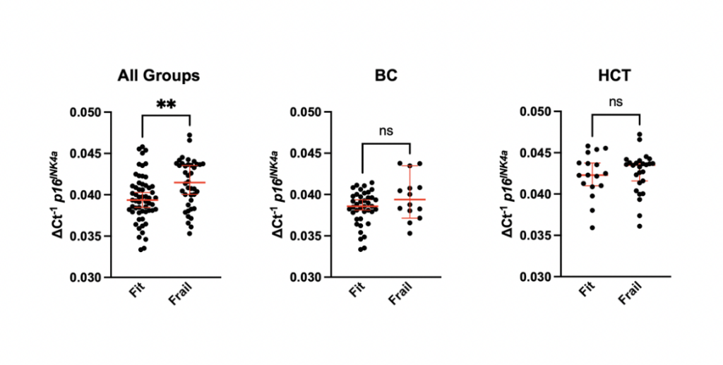 Frailty and pre-frailty associated with long-term diminished physical performance and quality of life in breast cancer and hematopoietic cell transplant survivors