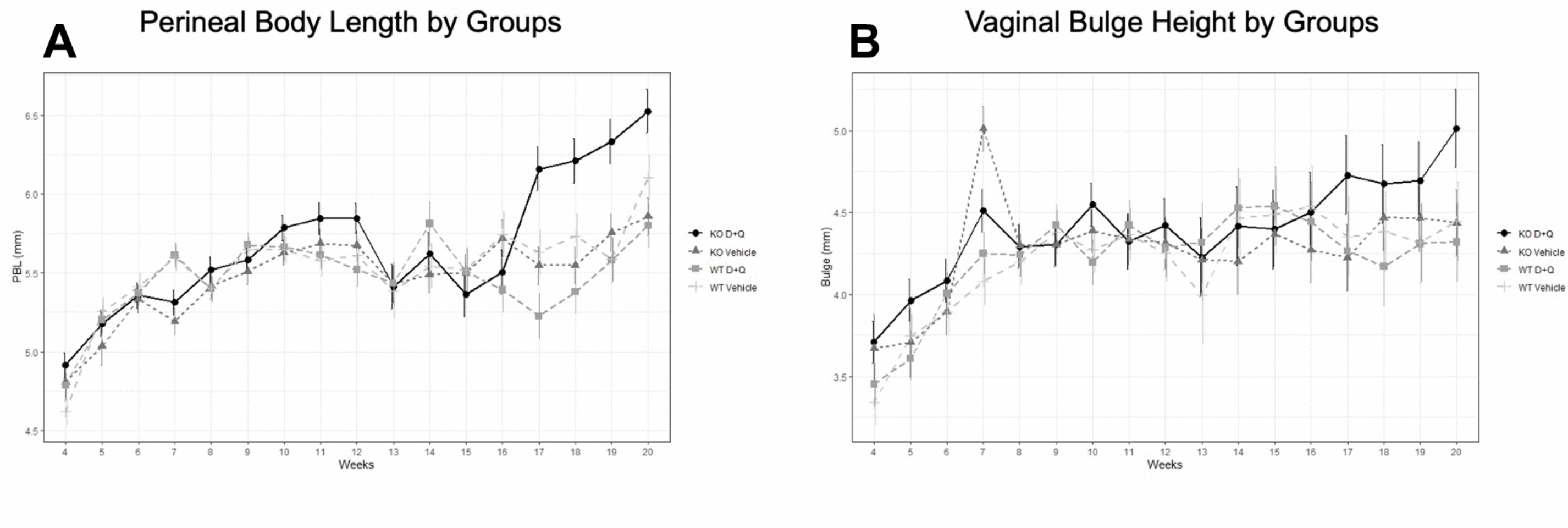 Use of the senolytics dasatinib and quercetin for prevention of pelvic organ prolapse in a mouse animal model