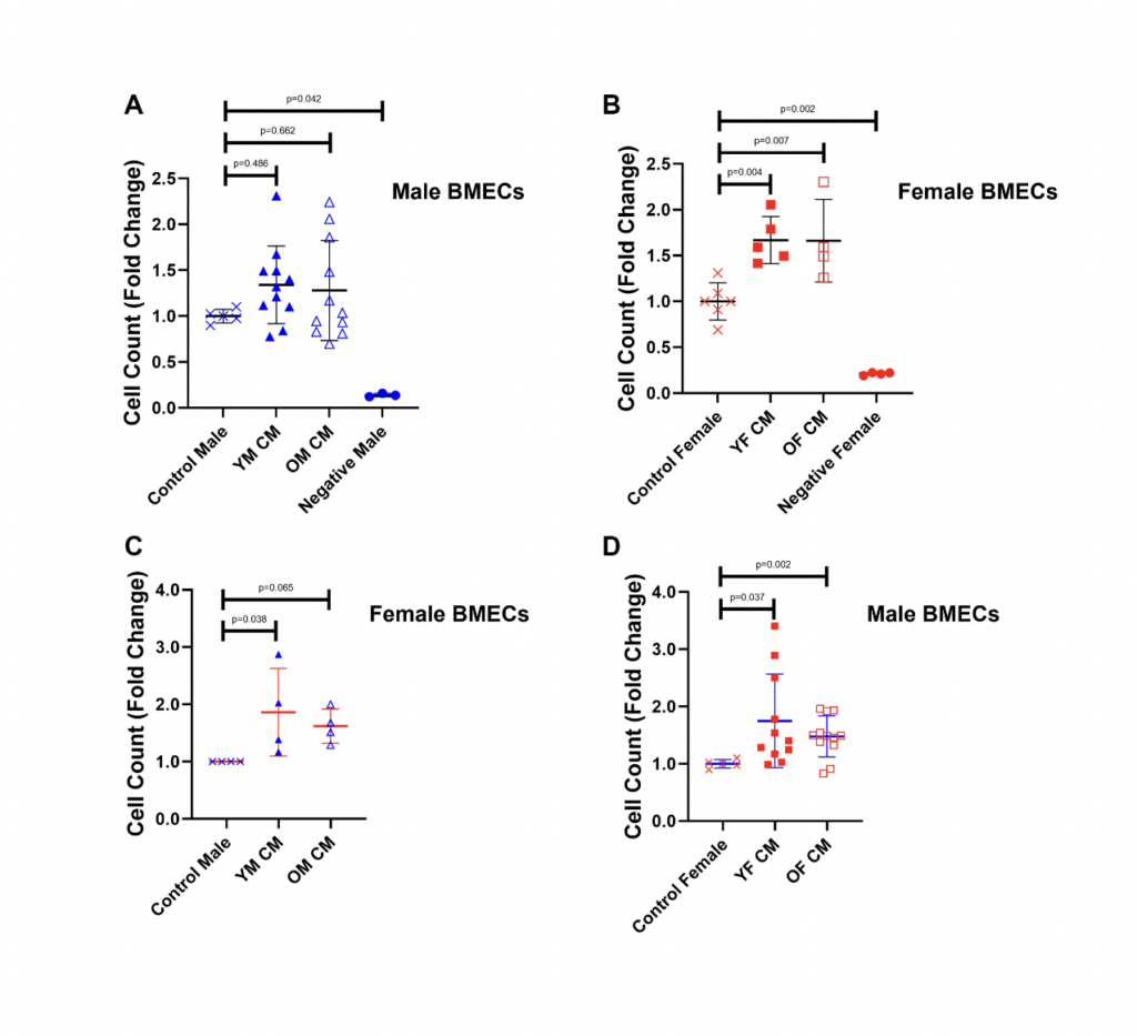 The effects of young and aged, male and female megakaryocyte conditioned media on angiogenic properties of endothelial cells