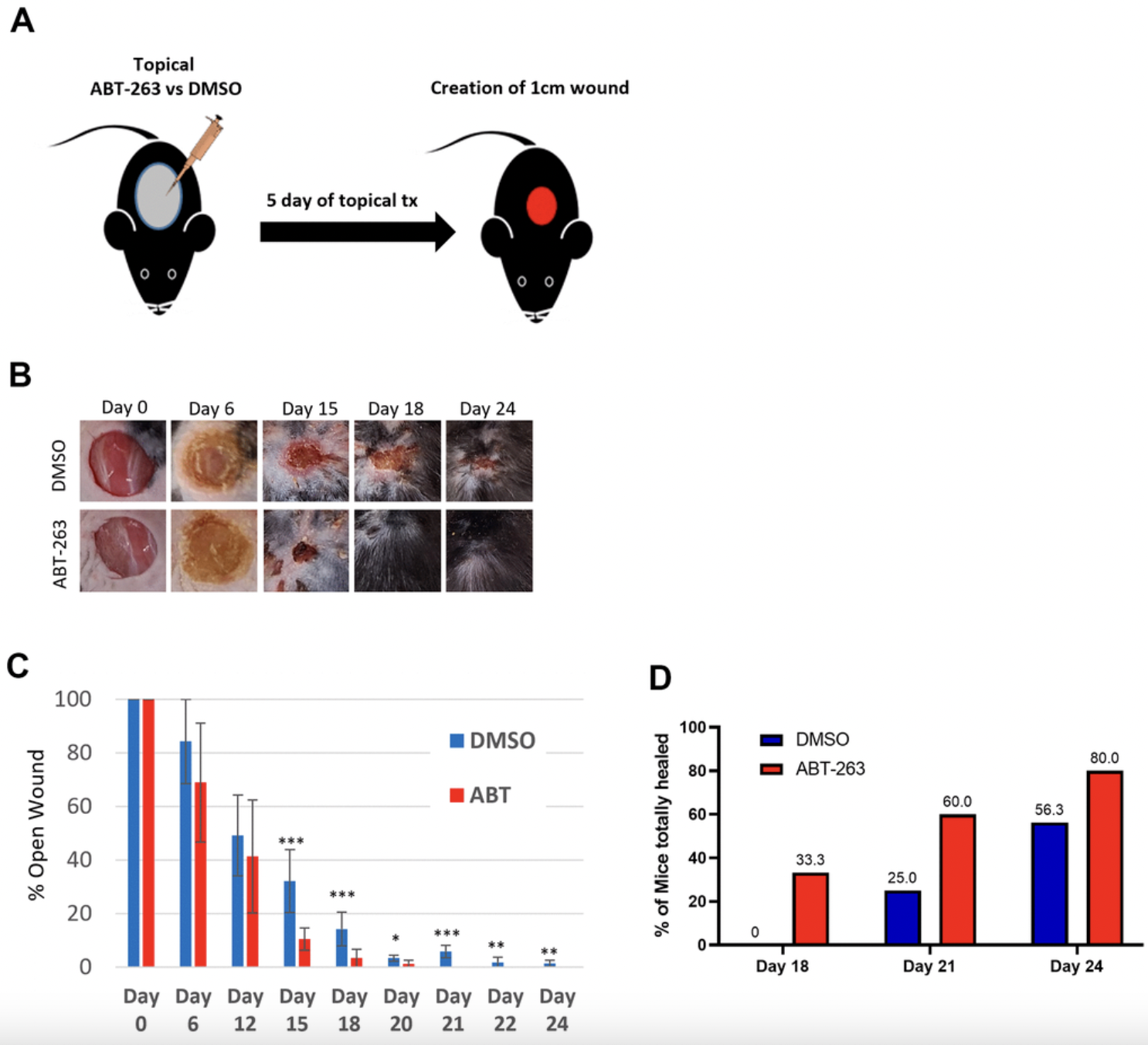 Topical ABT-263 treatment reduces aged skin senescence and improves subsequent wound healing