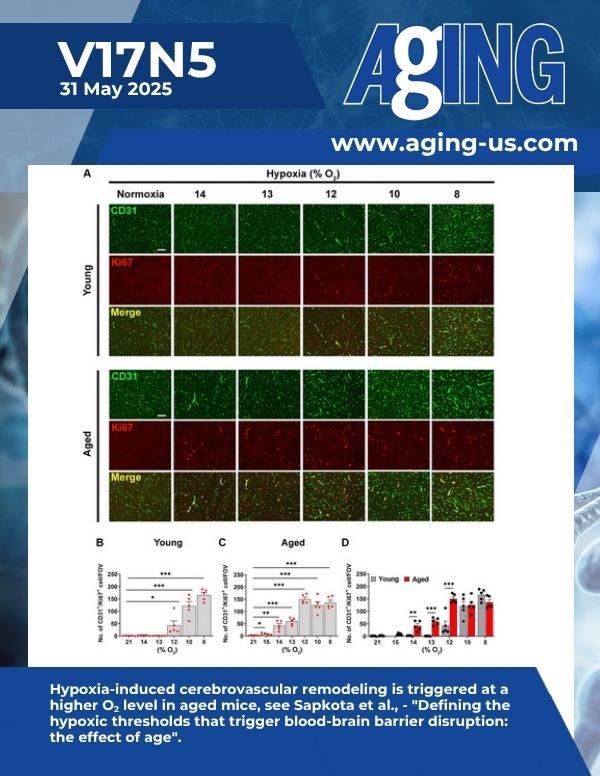 Defining the hypoxic thresholds that trigger blood-brain barrier disruption: the effect of age