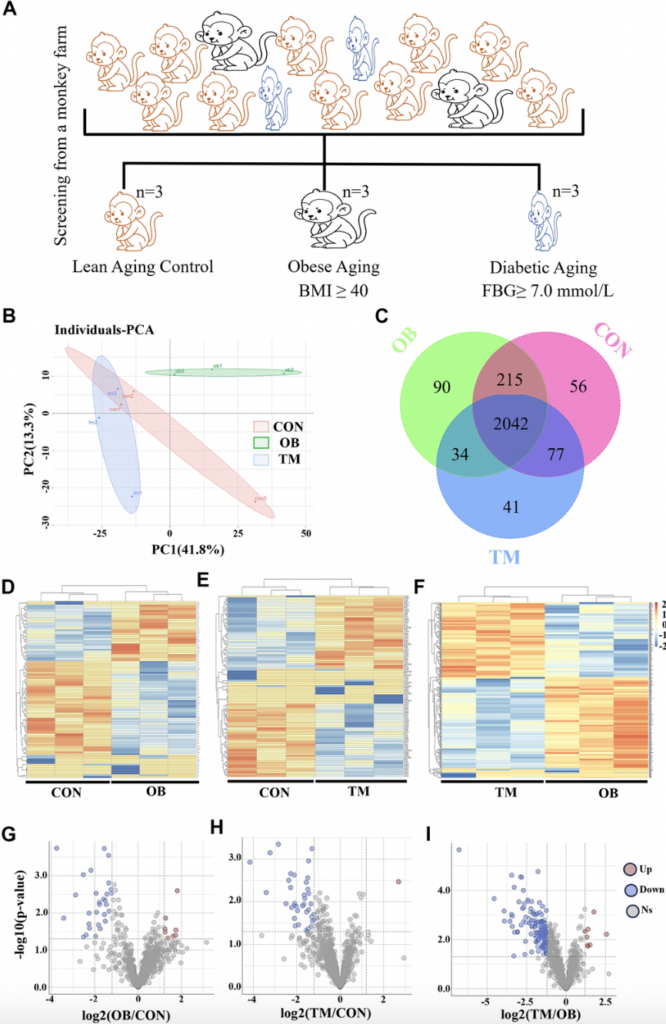 Multi-omics analysis reveals metabolic disruptions in cardiac tissues of aging nonhuman primates with spontaneous type 2 diabetes