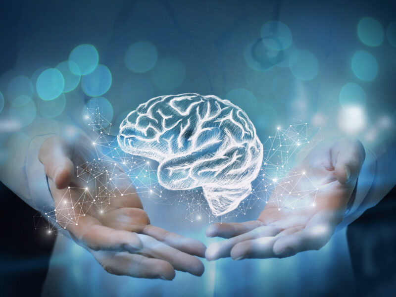 Medic shows in the hands of the brain.