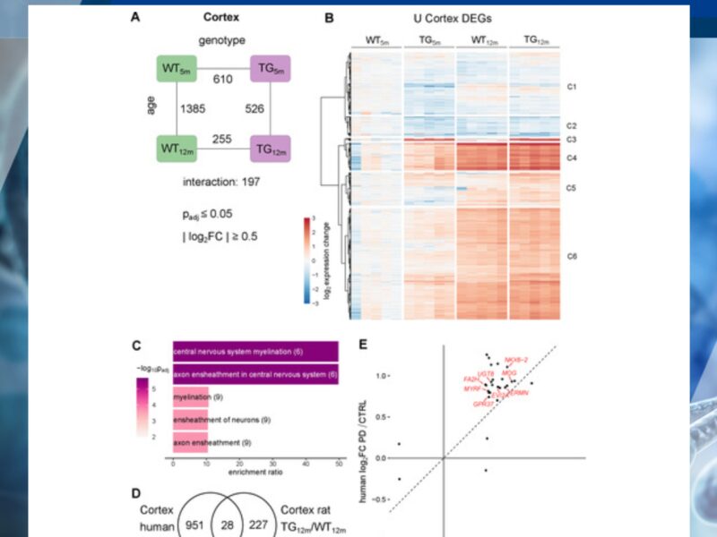 Aging Volume 17, Issue 10