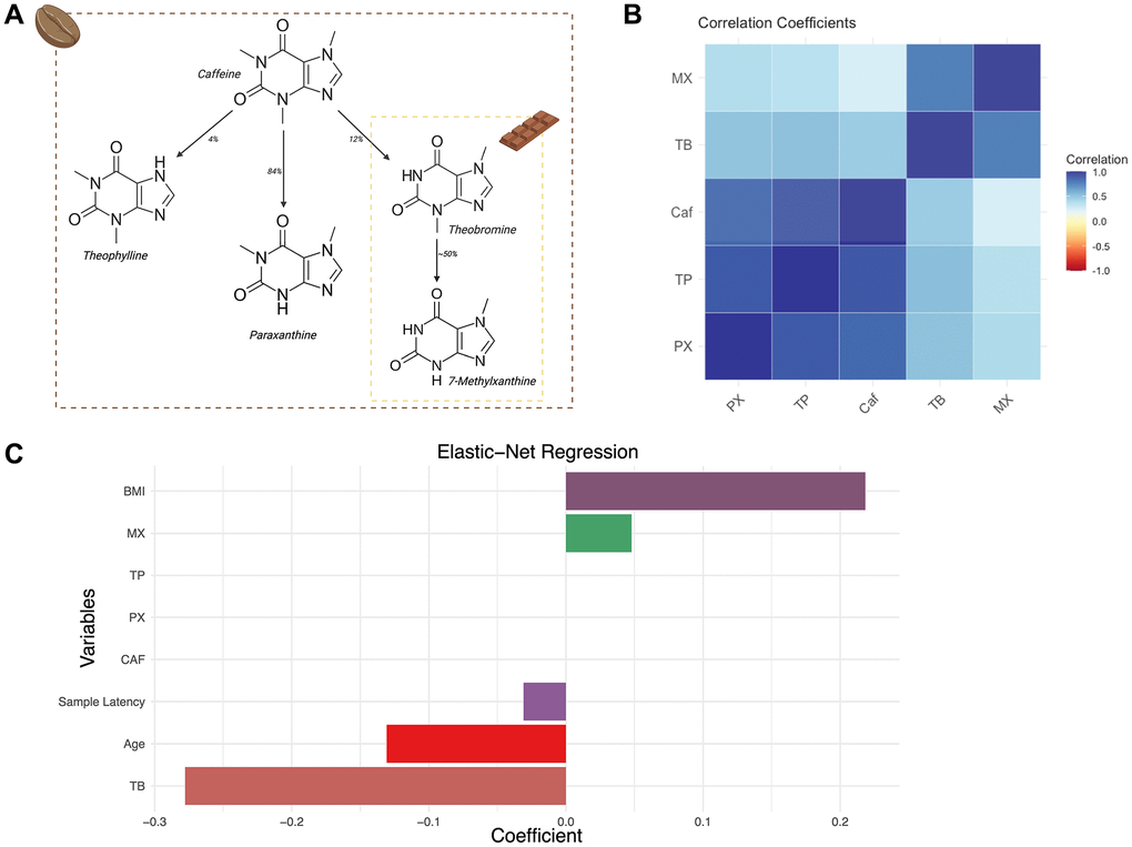 Theobromine is associated with slower epigenetic ageing